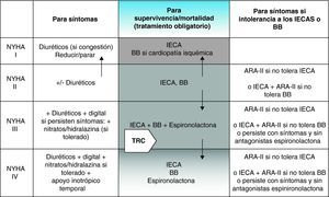 Algoritmo del tratamiento de la insuficiencia cardiaca (IC). En la columna central se exponen los fármacos obligatorios para los pacientes con IC según su clase funcional. También se muestra el lugar que puede ocupar la resincronización. En la columna de la izquierda están expuestos los fármacos a emplear para aliviar síntomas, también según su clase funcional. Finalmente, en la columna de la derecha se exponen fármacos que se pueden emplear para sustituir o complementar los fármacos fundamentales. ARA-II: antagonistas de los receptores de angiotensina-II; BB: betabloqueantes; IECA: inhibidores de la enzima convertidora de angiotensina; TRC: terapia de resincronización cardiaca. Adaptado de Remme y Swedberg26.