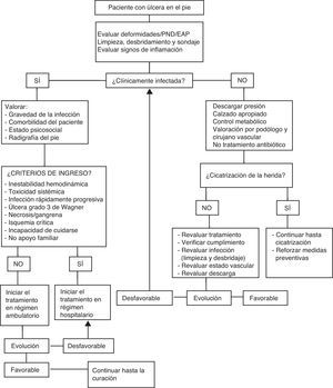 Algoritmo de manejo de la úlcera en el pie diabético.