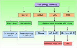 Screening algorithm adapted from Chin-Hong and Palefsky.9 AIN indicates anal intraepithelial neoplasia; ASCUS, atypical squamous cells of undetermined significance; HG, high-grade; HIV, human immunodeficiency virus; HSIL, high-grade squamous intraepithelial lesions; LG, low-grade; LSIL, low-grade squamous intraepithelial lesions.