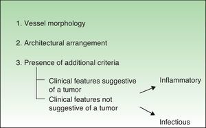 Diagnostic procedure for a hypopigmented lesion.
