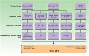 Relationship between histologic and clinical findings in penile squamous cell carcinoma (SCC) in situ, the presence of human papillomovirus (HPV), and progression to invasive SCC. PeIN indicates penile intraepithelial neoplasia.