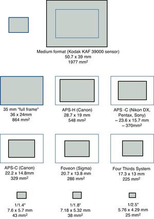 Relative sizes of various types of digital camera sensors. Adapted from: http://en.wikipedia.org/wiki/Image_sensor_format [Accessed on 20 August 2011].