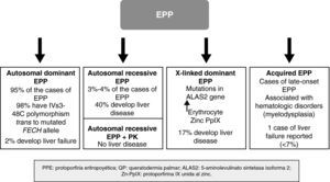 Molecular classification of erythropoietic protoporphyria. EPP indicates erythropoietic protoporphyria; PK, palmar keratoderma; ALAS2, aminolevulinic acid synthase 2; PpIX, protoporphyrin IX.