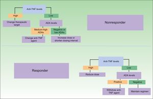Proposed clinical practice algorithm for biologic therapy based on immunogenicity. TNF indicates tumor necrosis factor; ADA, antidrug antibodies. Adapted from Martín-Mola et al.33