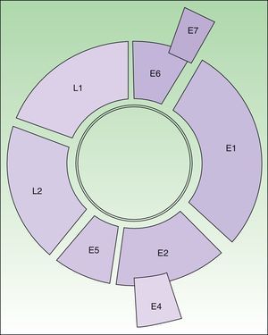 Diagram of the HPV 16 genome (8000 base pairs). Circular, double-stranded DNA molecule. E6 and E7 are oncogenes. E1 participates in viral DNA replication (helicase activity). E2 encodes an auxiliary protein that affects replication and is also involved in transcriptional regulation. E4 disrupts cytokeratins, facilitating their release. E5 stimulates cell growth by interacting with receptors. Capsid proteins are encoded by L1 (major) and L2 (minor); expression is late in both cases. The regulatory region is located between L1 and E6.