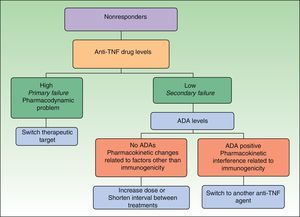 Algorithm for decision making in patients who do not respond to anti-TNF treatment introducing the concept of primary and secondary failure depending on factors related to immunogenicity. TNF indicates tumor necrosis factor; ADA, antidrug antibody.