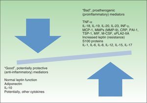 Favorable and unfavorable mediators of cardiovascular risk.IL indicates interleukin; TNF, tumor necrosis factor; INF-γ, interferon-γ; MCP-1, monocyte-chemoattractant protein 1; MMP, matrix metalloproteinase; CRP, C-reactive protein; PAI-1, plasminogen activator inhibitor-1; TSP-1, thrombospondin-1; MIF, migration inhibitory factor; M-CSF, macrophage colony-stimulating factor; sPLA2-IIA, secretory phospholipase A2 group IIA.