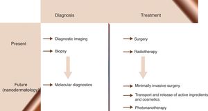 Areas of application of nanomedicine in dermatology.
