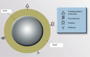Possible modifications to the surface of nanoparticles.