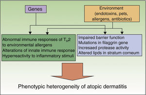 Etiology and pathogenesis of atopic dermatitis.