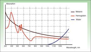Absorption curves for the main chromophores.