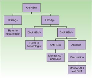 Algorithm for action for HBV+ patients who are to receive biologic therapy.