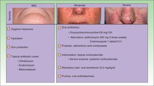 Treatment algorithm for papulopustular rash. Summary of treatment of EGFR inhibitor–induced skin rash used at our department based on reports in the literature and our clinical experience. Treatment is individualized in each case.
