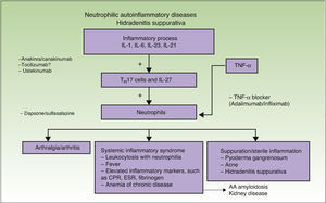 Immunology, clinical presentation, and therapeutic targets of neutrophilic autoinflammatory diseases. IL indicates interleukin; TH17, type 17 helper T cells; TNF, tumor necrosis factor; CRP, C-reactive protein; ESR, erythrocyte sedimentation rate.