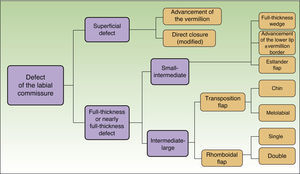 Reconstruction of Surgical Defects of the Labial Commissure | Actas ...