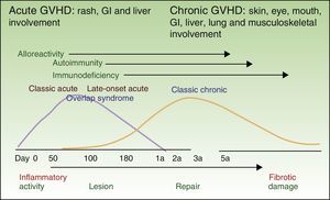 Schematic depiction of the courses of acute and chronic GVHD. GVHD refers to graft-vs-host disease; GI, gastrointestinal. Adapted from http://ccr.cancer.gov/resources/gvhd/about.asp.