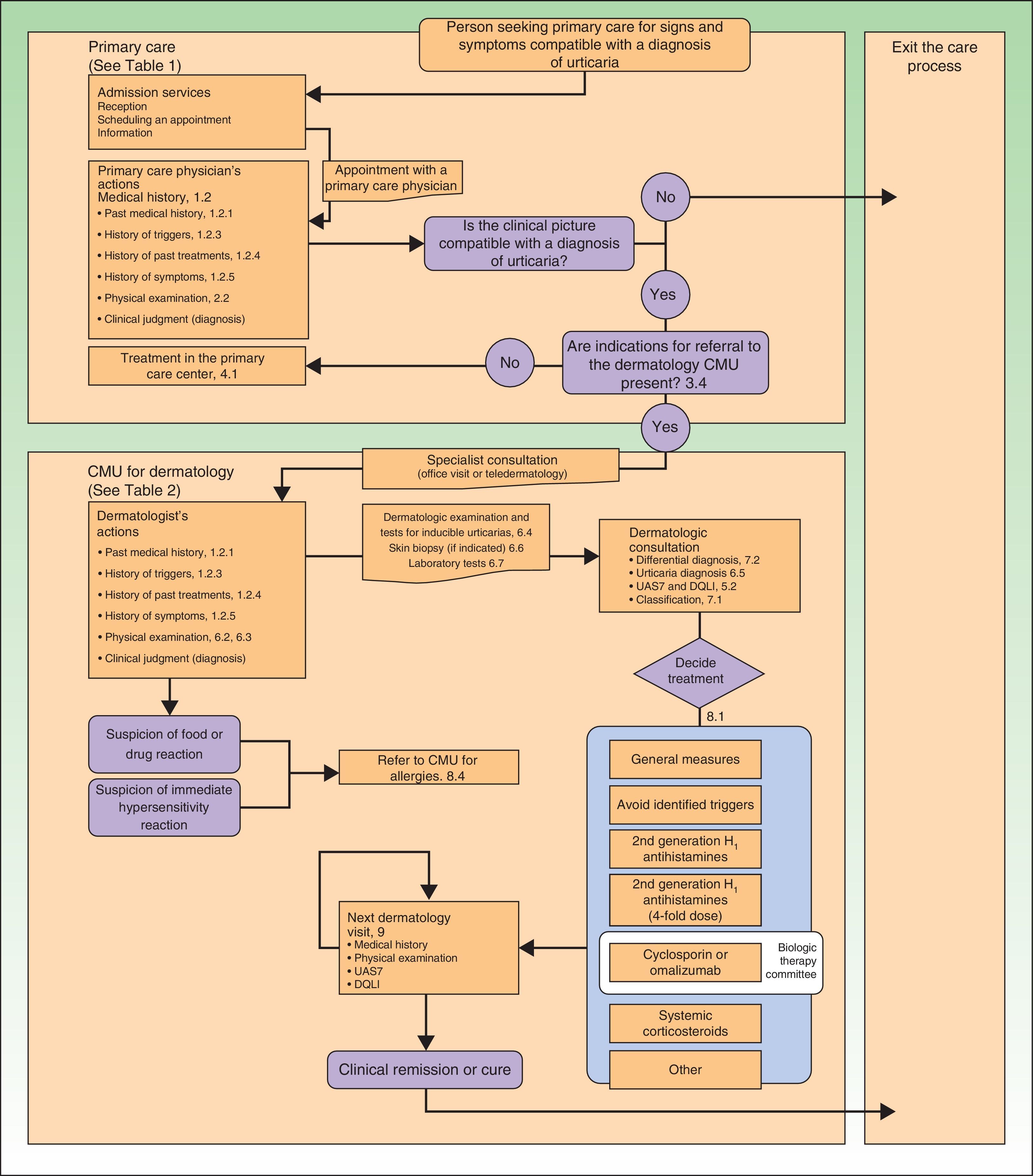 Clinical Pathway for Patients With Acute or Chronic Urticaria: A Consensus  Statement of the Andalusian Section of the Spanish Academy of Dermatology  and Venereology (AEDV) | Actas Dermo-Sifiliográficas
