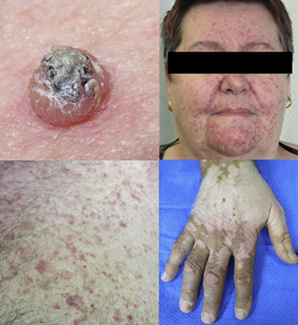fig0020