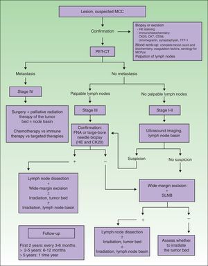 Diagnostic and treatment algorithm for MCC. MCC refers to Merkel cell carcinoma; CK, cytokeratin; HE, hematoxylin-eosin; TTF-1, thyroid transcription factor 1; MCPyV, Merkel cell polyomavirus; PET-CT, positron emission tomography–CT; SLNB, sentinel lymph node biopsy; and FNA, fine-needle aspiration.