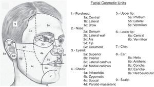 Main facial cosmetic units and subunits.