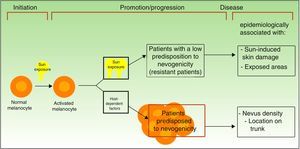 Pathways to melanoma development according to sun exposure and patient predisposition. Source: modified from Whiteman et al.12