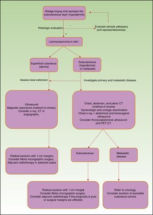Algorithm to guide the diagnosis and management of leiomyosarcomas of the skin. CT refers to computed tomography; PET-CT, positron emission CT.