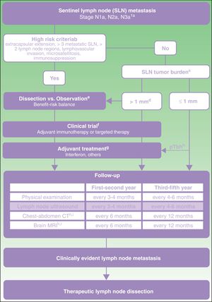 Proposed care for patient with melanoma and sentinel lymph node metastasis. a American Joint Committee on Cancer 2017 TNM classification for cutaneous melanoma.8 b Characteristics of high risk based on exclusion criteria applied in clinical trials of dissection vs observation.11,21 c Sentinel lymph node (SLN) tumor burden measured by maximum tumor diameter of the largest tumor (Rotterdam criteria).36 d In the MSLT-II trial, the dissection and observation groups included 33.2% and 34.5% of patients, respectively, with SLN metastasis greater than 1mm. The 75th percentile of tumor burden was 1.32 and 1.381mm in each of the study groups, respectively. In the DeCOG-SLT trial, 7% of the patients enrolled had SLN metastasis greater than 2mm and 2% had metastasis greater than 51mm.10,11 e Discussion with the patient should include information on the expected risk of complications and expected survival benefit with each of the options (dissection vs observation). f Committee assessment of melanoma for possibility of entering a clinical trial of an adjuvant agent. g Currently, the only adjuvant agent approved in Spain for patients with melanoma is interferon. Any adjuvant agent authorized for use in clinical practice should be assessed at the same point in the algorithm. h pTb, ulcerated primary tumor. Maximum benefit of interferon as an adjuvant has been observed in patients with an ulcerated primary tumor.22–24 i In patients with stage IIIB-IIIc disease and high risk criteria, the recommendation of positron-electron tomography-computed tomography every 6 months during the first 2 years and annually between the third and fifth year can be considered.37