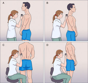 A and B, Examination of the upper trunk. C and D, Examination of the abdominal-suprapubic area, both flanks, and the dorsolumbar area.