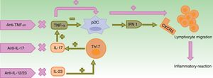 Pathogenic mechanisms proposed to explain paradoxical reactions. In normal conditions, TNF-α inhibits pDCs, which produce IFN-α. Use of anti-TNF-α molecules leads to an excess of IFN-α which, in turn, promotes expression of CXCR3 in T cells, thereby allowing migration to the inflamed tissue. The use of other biologic agents with different mechanisms of action such as ustekinumab (anti-IL-12/23) and secukinumab and ixekizumab (anti-IL-17A) indirectly leads to a decrease in TNF-α concentrations, with the aforementioned consequences. CXCR3: CXC3 chemokine receptor; IFN: interferon; IL: interleukin; pDC: plasmacytoid dendritic cell; Th cell: T helper cell; TNF: tumor necrosis factor.