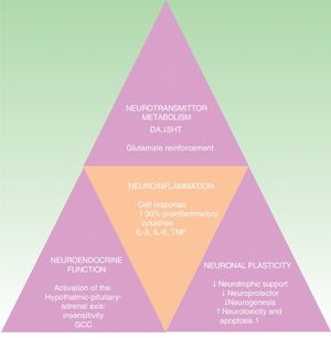Inflammation in the etiology and pathogenesis of depression.