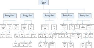 Surgical defect reconstruction techniques used in the 119patients in the series.