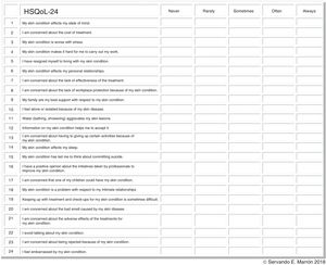 HSQoL-24 questionnaire. The English in the figure is a literal, nonvalidated translation for information purposes only.