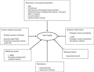 Factors that influence bone fragility in patients with psoriasis. Abbreviations: APR, acute phase reactants; AS, ankylosing spondyloarthritis; BMD, bone mineral density; BMI, body mass index; PASI, psoriasis area and severity index.