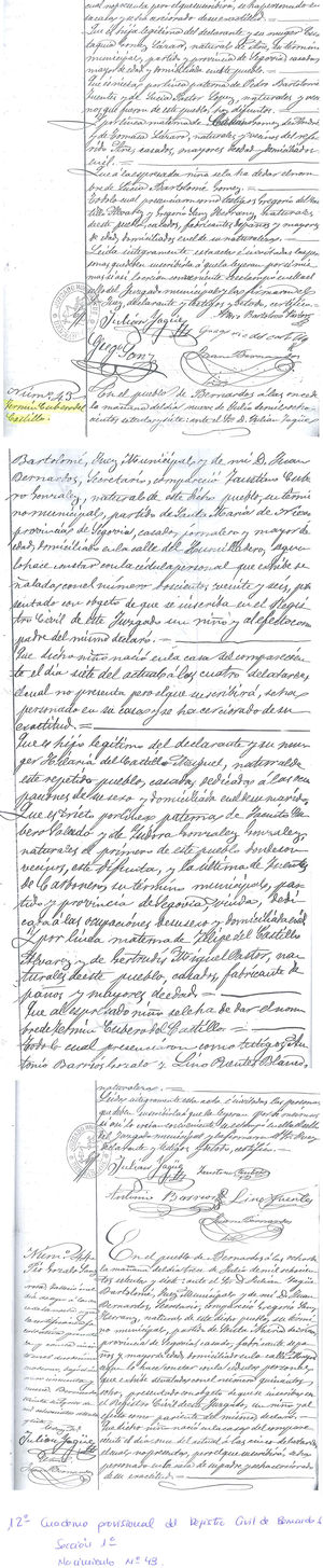 Birth certificate number 43, from the Provisional Civil Registry Book, Section 1. Copy provided by the Town Council of Bernardos.