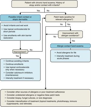 Etiologic diagnosis of hand eczema.