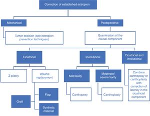 Algorithm: surgical corrective techniques for ectropion.