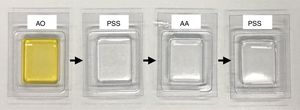 Staining process. Abbreviations: AA indicates acetic acid; AO, acridine orange; PSS, physiological saline solution.