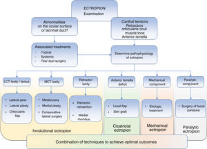 Algorithm for examination and treatment of eyelid ectropion. It is important to perform a complete examination to determine which treatment is required; this ensures that the best outcomes are attained and reduces relapses. Abbreviations: LCT, lateral canthal tendon; MCT, medial canthal tendon.