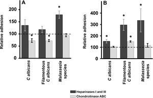Effect of enzymatic degradation of cellular GAG on yeast adhesion to skin cells. Graphs depict the inhibitory effect of treatment with heparinases I and III (dark bars) or chondroitinase ABC (light bars) on yeast adhesion to keratinocytes (A) and fibroblasts (B). Data were normalized to yeast adhesion values recorded in untreated cells, to which an arbitrary value of 100 was assigned. Error bars represent standard deviation. *P<0.05.