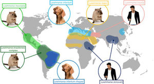Geographic distribution of the main Leishmania species and their principal reservoirs.