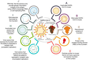 Different ways in which vaccines are used to introduce an antigen.