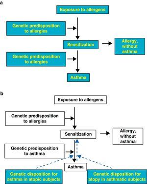 a: Shows the traditional causal model in two stages, and b: presents an alternative bidirectional model for the association between IgE and asthma.