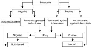 Flowchart for the joint use of the tuberculin test and in vitro interferon gamma (IFN-γ) techniques in the diagnosis of tuberculosis infection.