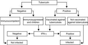 Flowchart for the joint use of the tuberculin test and in vitro interferon gamma (IFN-γ) techniques in the diagnosis of tuberculosis infection.