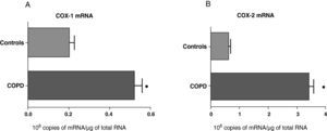 COX-1 (A) and COX-2 (B) mRNA expression in the lung parenchyma of control subjects (n=14) and COPD patients with bronchial cancer (n=44). The means are represented with the standard deviations from the mean. The expression of mRNA is shown as the number of molecules compared with total RNA. ¿ P<.01.