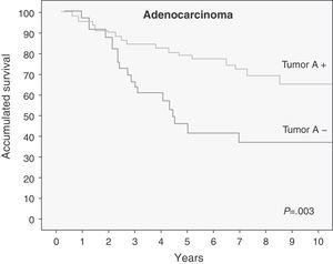 Survival results according to the Kaplan–Meier method of the patients with adenocarcinoma, according to BAA expression.
