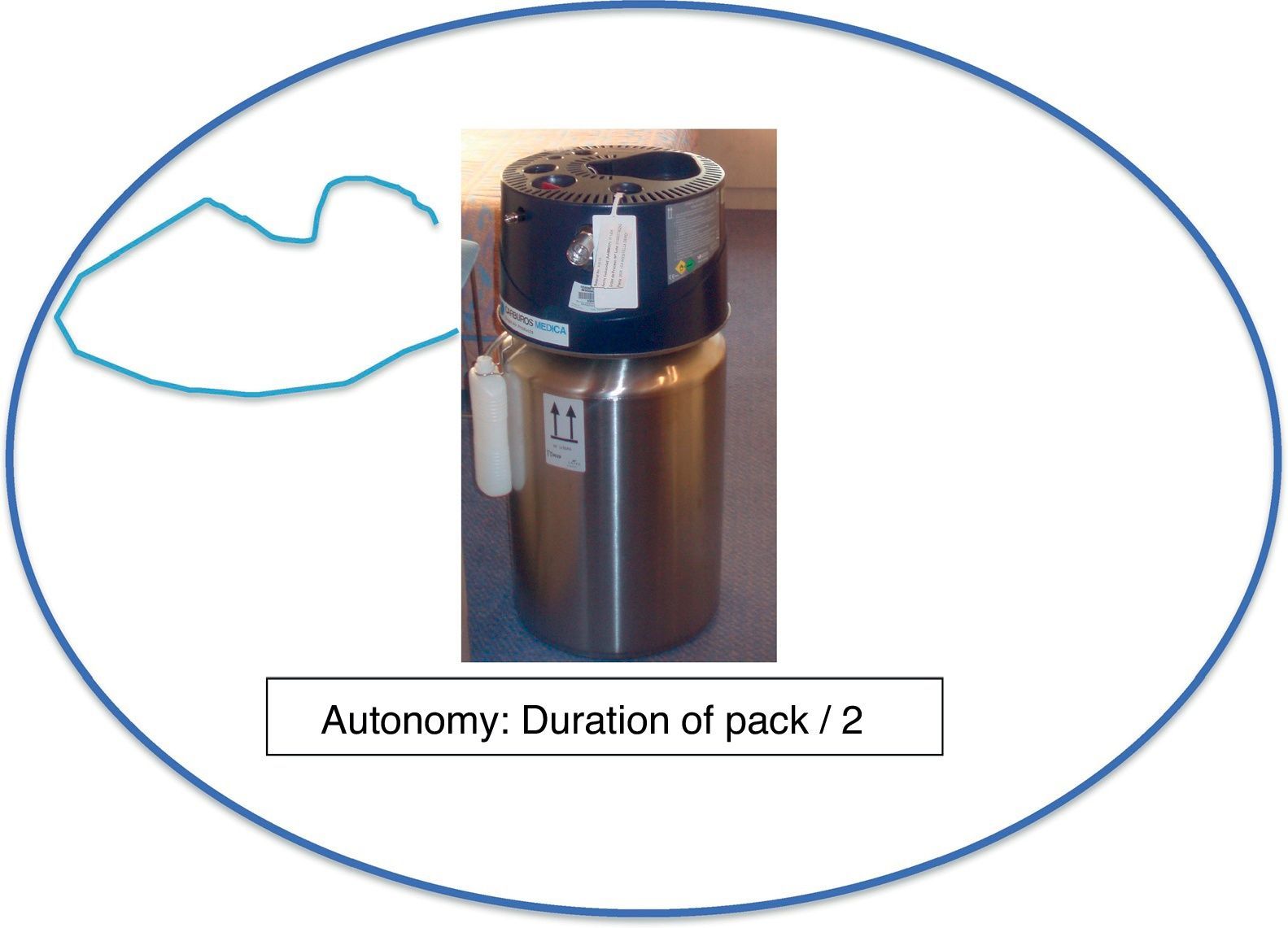 O2 Mobility Mobility Profiles of Patients With Home Oxygen Therapy | Archivos de ...