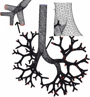 Theoretical model of the human airway up until the seventh generation used to calculate computational fluid dynamics (CFD). It can be observed that it is made up of multiple cells in the shape of a tetrahedron, inside each of which the CFD program calculated the air behavior.