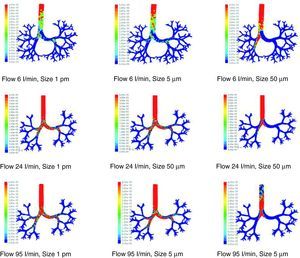 Results of the simulation with computational fluid dynamics (CFD) of particle behavior at different sizes (1pm, 5μm, and 50μm), which are dragged by flows of 6, 24, and 95l/min. The red areas indicate a high density of trapped particles. It can be observed that, as the size of the particle and flow increase, more particles tend to become trapped in more central regions of the airway due to impaction.