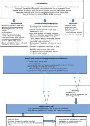 Diagnostic algorithm for primary ciliary dyskinesia.